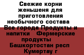 Свежие корни женьшеня для приготовления необычного состава - Все города Продукты и напитки » Фермерские продукты   . Башкортостан респ.,Кумертау г.